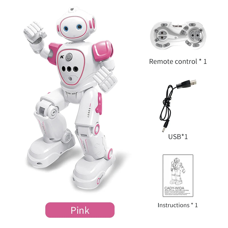 Rc Emo Samrt Intelligent 2.4G Music Robo Remote Control Programming Robot Toys