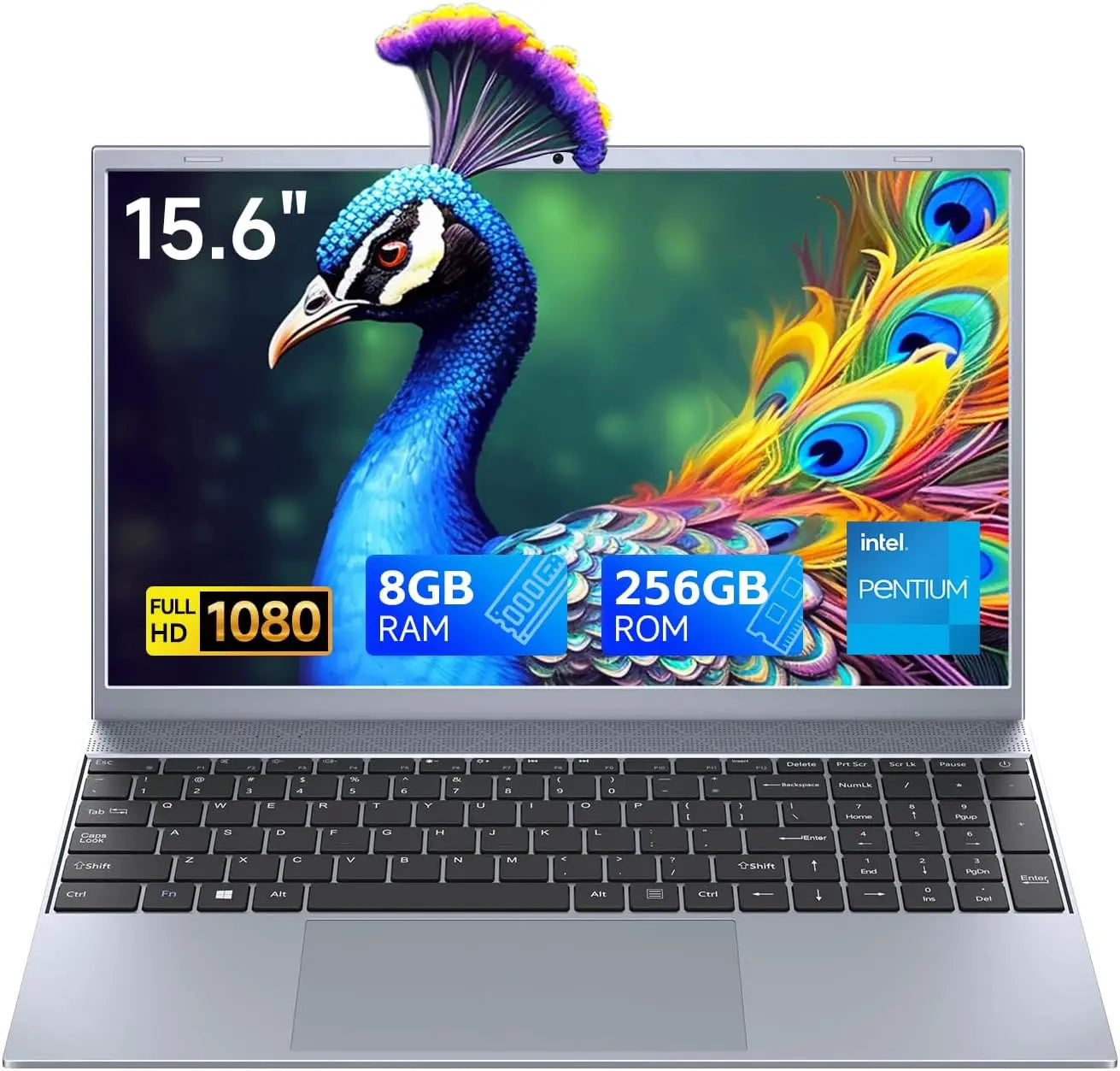 15.6 Inch Laptop