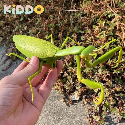 Remote Control Fun RC Kids Toy