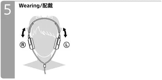 Sony Noise Cancelling Dynamic Headphones
